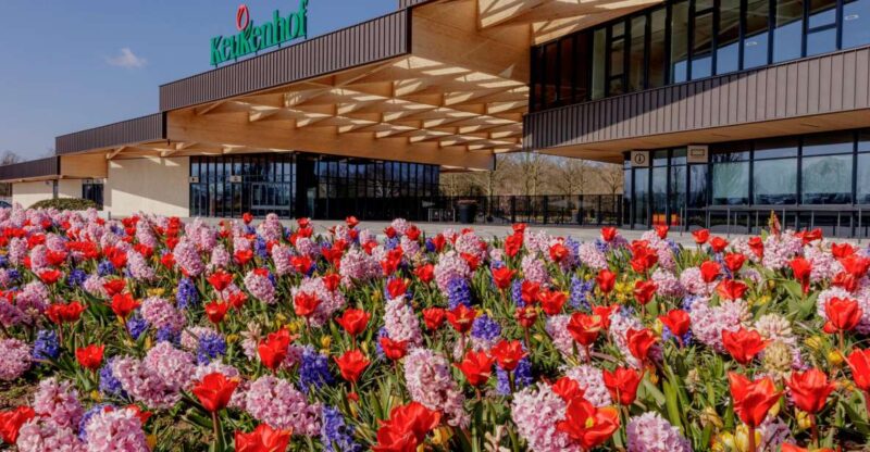 Amsterdam: Half-Day Flower Fields and Keukenhof Bicycle Tour - Itinerary