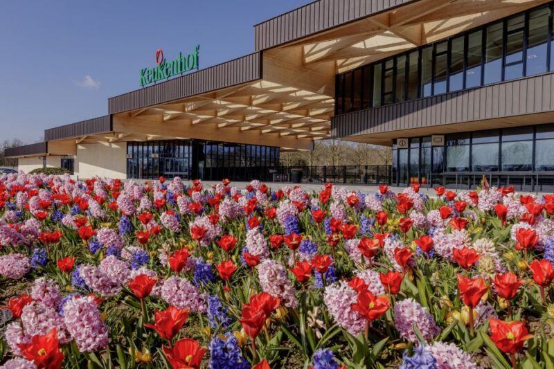 Amsterdam: Half-Day Flower Fields and Keukenhof Bicycle Tour - Explore Bulb-Growing Region