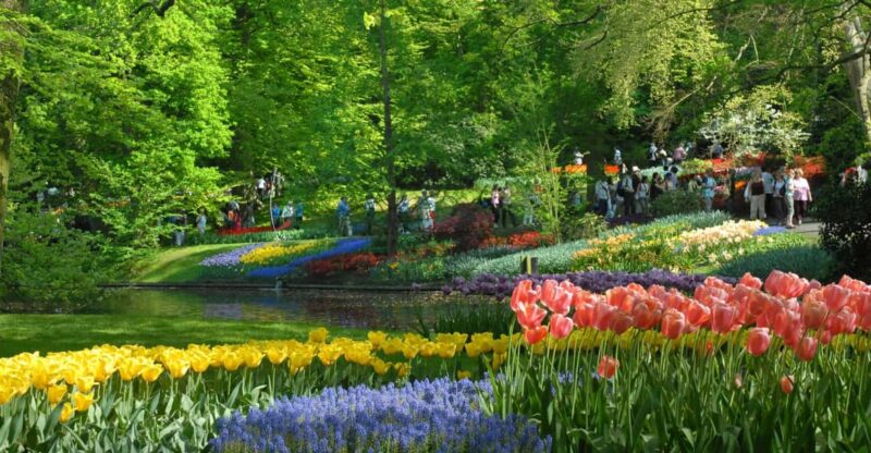 Amsterdam: Half-Day Keukenhof Guided Tour With Entrance - Key Points