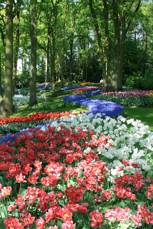 Amsterdam: Half-Day Keukenhof Guided Tour With Entrance - Experience Highlights