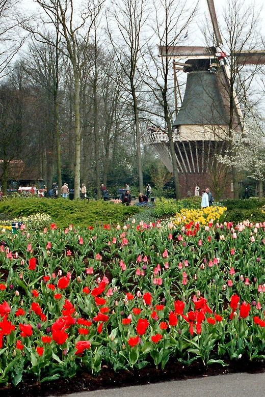 Amsterdam: Half-Day Keukenhof Guided Tour With Entrance - Tour Logistics