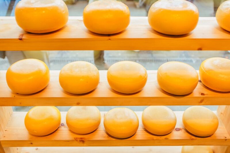 Amsterdam: Henri Willig Cheese Tasting Experience - Meeting Point Options