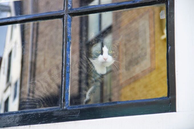 Amsterdam: Jordaan District Tour With a German Guide - Secret Gardens and Hidden Courtyards
