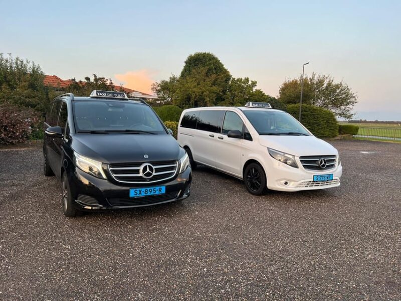 Amsterdam: Keukenhof and Tulip Fields Private Day Trip - Highlights of the Itinerary