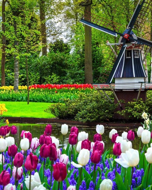 Amsterdam: Keukenhof and Tulip Fields Private Day Trip - Tulip Fields Photo Opportunity