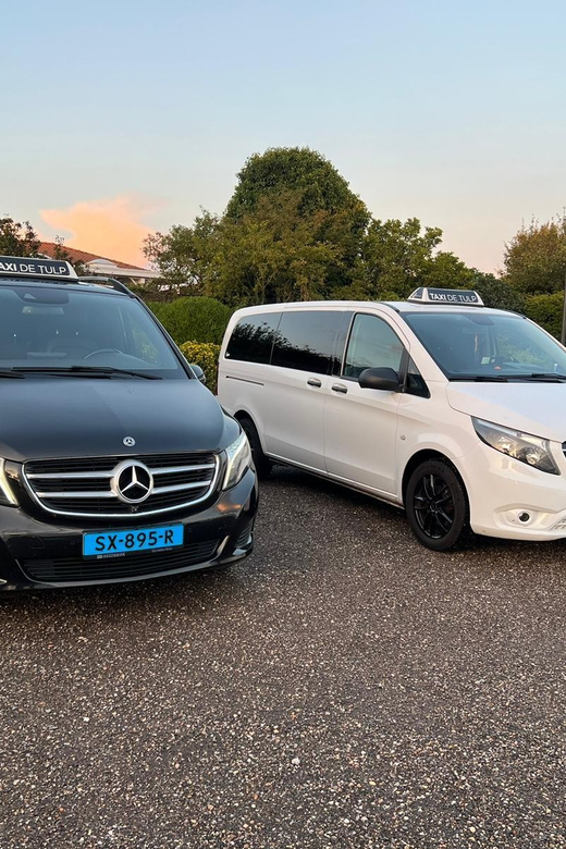 Amsterdam: Keukenhof and Tulip Fields Private Day Trip - Transportation and Pickup/Drop-off