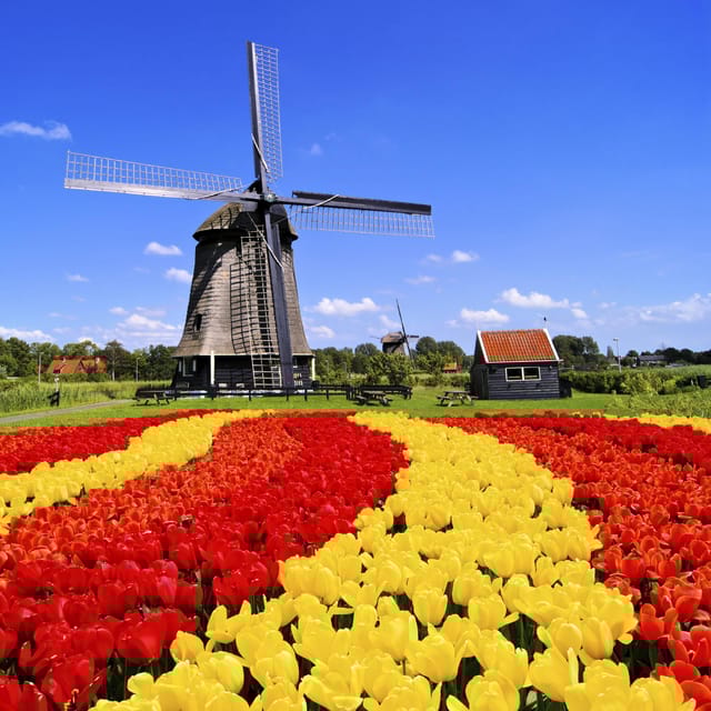 Amsterdam: Keukenhof and Tulip Fields Private Day Trip - Inclusions and Pricing