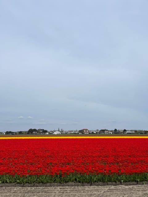 Amsterdam: Keukenhof and Tulip Fields Private Day Trip - Customization and Flexibility