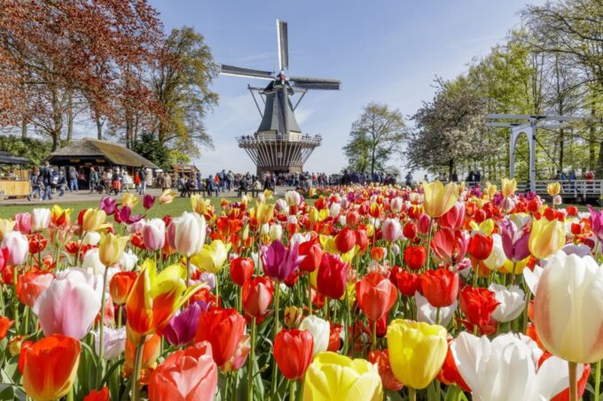 Amsterdam: Keukenhof and Zaanse Schans Live Guided Day Tour - Transportation and Meeting Point