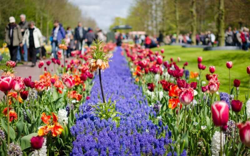 Amsterdam: Keukenhof and Zaanse Schans Windmills Day Trip - Highlights and Activities