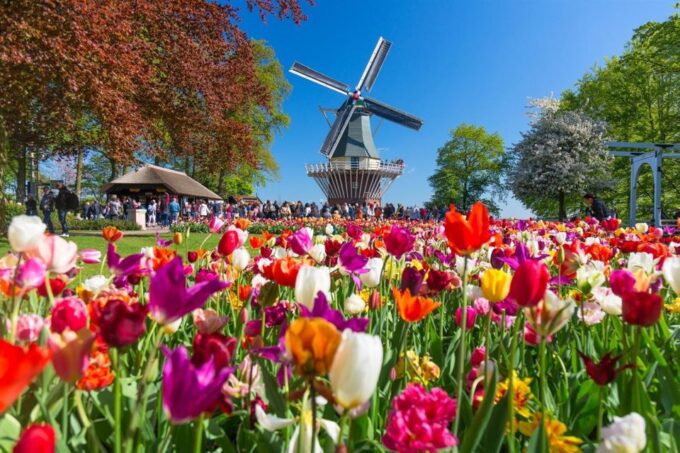 Amsterdam: Keukenhof and Zaanse Schans Windmills Day Trip - Frequently Asked Questions