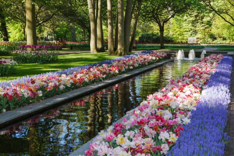 Amsterdam: Keukenhof Gardens Guided Tour Spanish and English - Experience Highlights