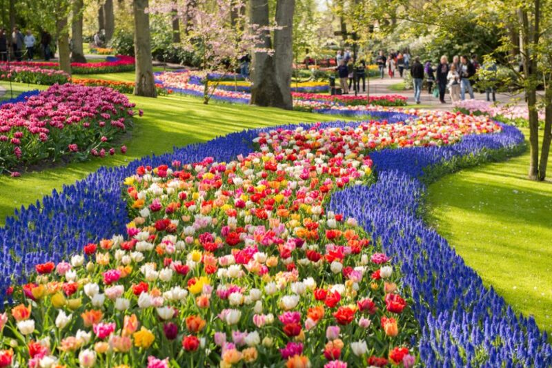 Amsterdam: Keukenhof Gardens Guided Tour Spanish and English - Important Considerations