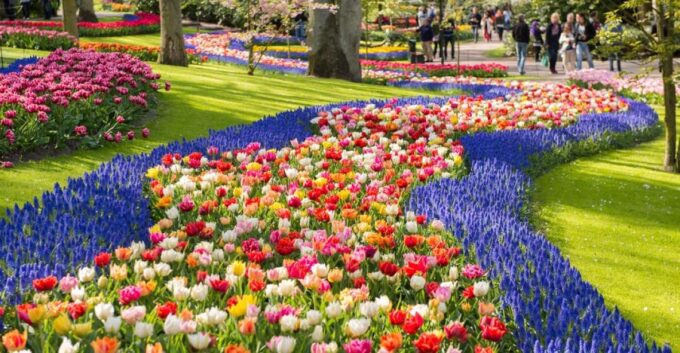 Amsterdam: Keukenhof Gardens Guided Tour Spanish and English - Cancellation and Payment Options