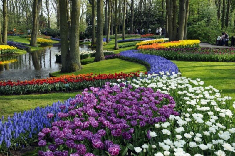 Amsterdam: Keukenhof, Tulip Farm Full-Day Tour With Cruise - Key Points