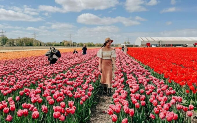 Amsterdam: Keukenhof, Tulip Farm Full-Day Tour With Cruise - Cancellation Policy