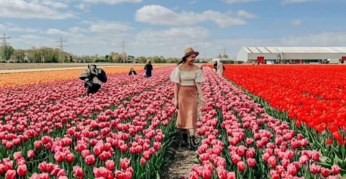 Amsterdam: Keukenhof, Tulip Farm Full-Day Tour With Cruise - Frequently Asked Questions