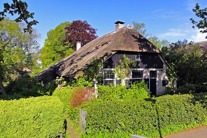Amsterdam Landscape Windmill Private Bike Tour - Accessibility and Weather