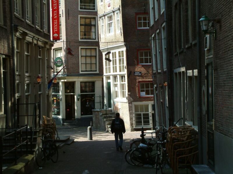 Amsterdam Old City Private Walking Tour - Experience Highlights