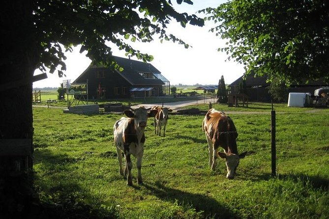 Amsterdam Outskirts Dutch Countryside Private Bike Tour 15 Min From the Centre - Highlights of the Tour
