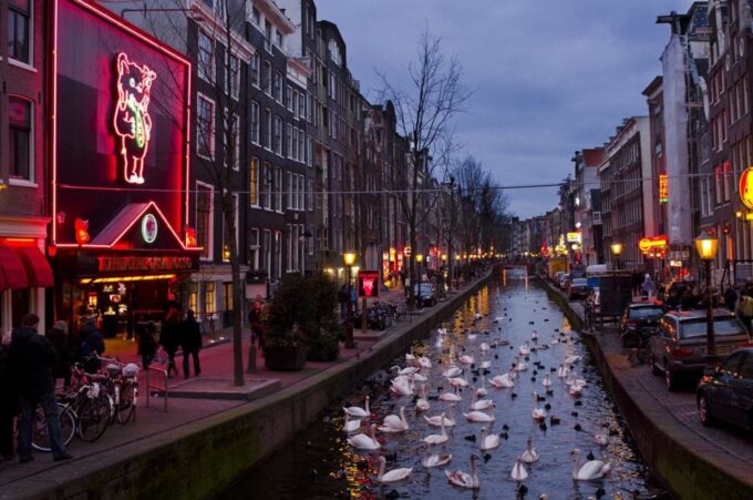 Amsterdam Private Photography Walking Tour - Customer Feedback