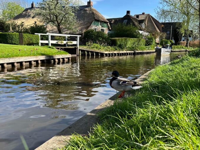 Amsterdam: Private Tour Giethoorn, Zaanse Schans Local Guide - Hotel Pick-up and Drop-off