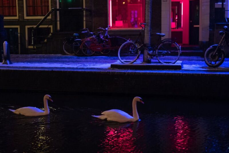 Amsterdam: Red Light District and Coffeeshop Culture Tour - Booking Details