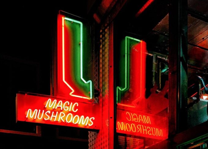 Amsterdam: Red Light District Tour - Group Size and Languages