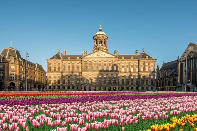 Amsterdam: Skip-the-line Royal Palace Private Guided Tour - Key Points