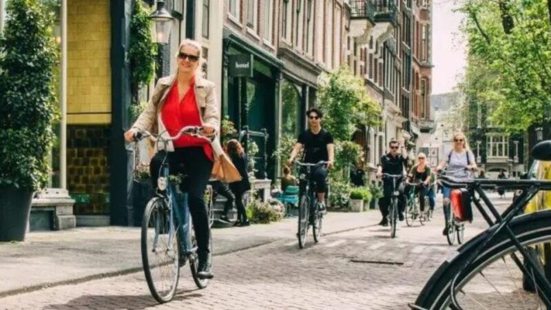 Amsterdam: The Pijp Market Food Tour - Itinerary Highlights