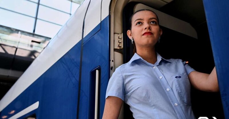 Amsterdam: Train Transfer Schiphol Airport From/To Den Haag - Train Experience and Amenities