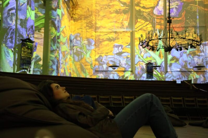 Amsterdam: Van Gogh and Rembrandt Immersive Experience Entry - Audience and Accessibility