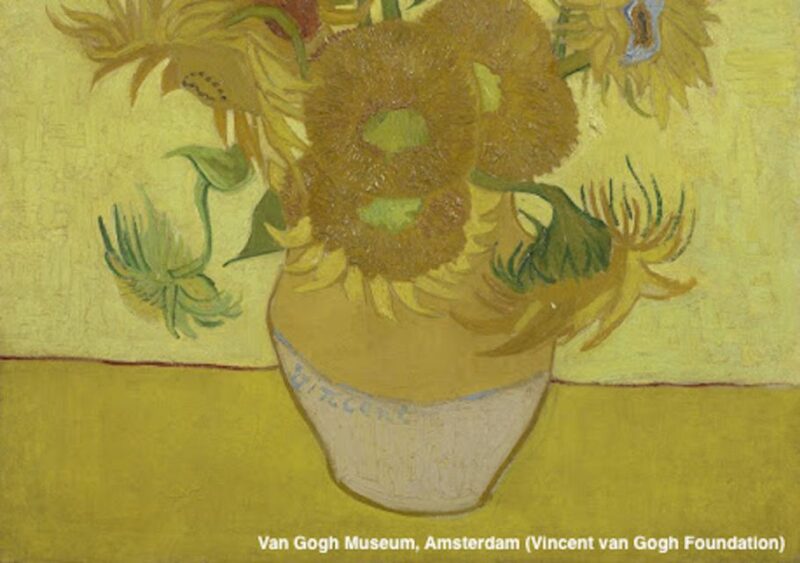 Amsterdam: Van Gogh Museum Guided Tour With Entry - Languages and Participants
