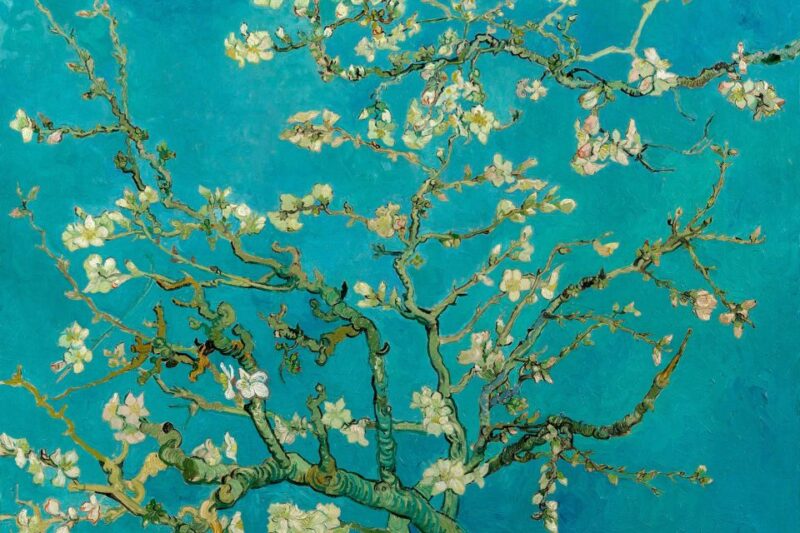 Amsterdam: Van Gogh Museum Ticket and City Canal Cruise - Canal Cruise Experience