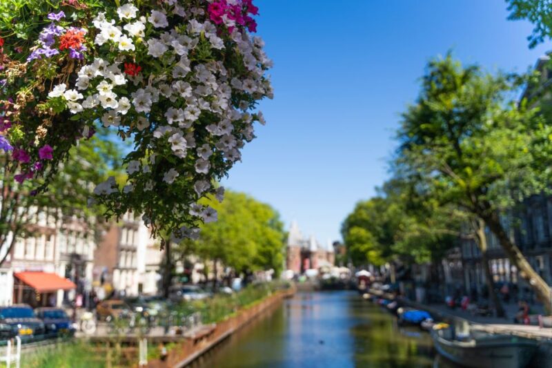 Amsterdam Walking Tour With Cheese Tasting - Booking Information
