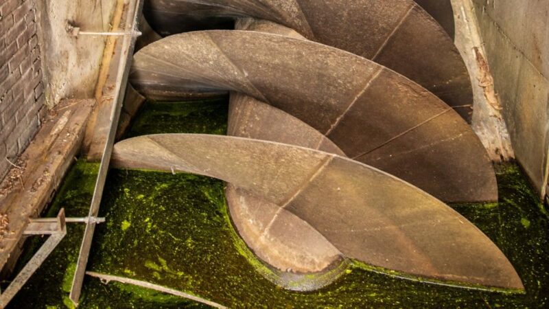 Amsterdam: Windmill Guided Tour - Customer Reviews