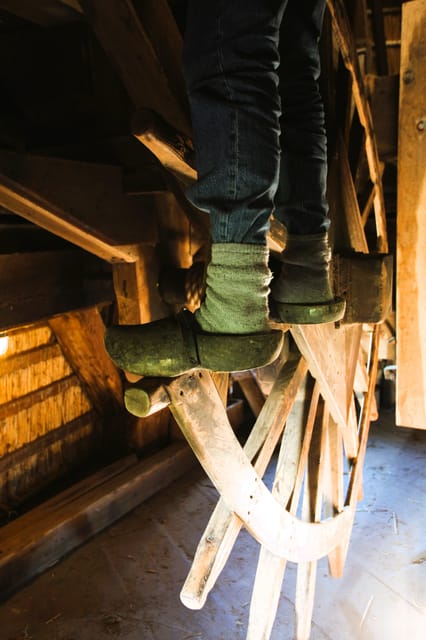 Amsterdam:Private Guided Non Touristic Tulip & Windmill Tour - Key Points