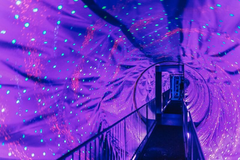 Amsterdams Weirdest Museum: Believe It or Not! - Museum Highlights