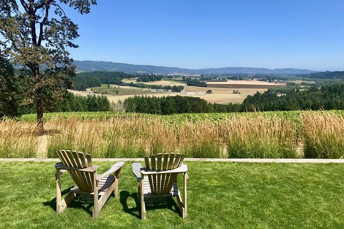 Amy & Rebas Day Drinking Wine Tours, Where Well Drive You to Drink - Transportation and Safety