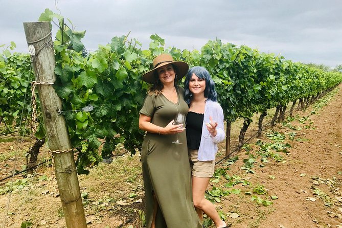 Amy & Rebas Day Drinking Wine Tours, Where Well Drive You to Drink - Booking and Confirmation