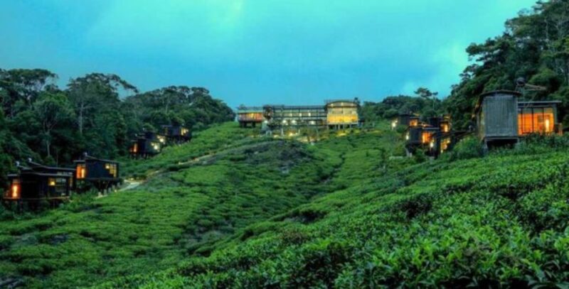 An 8-Days Adventure and Wildlife Exploration in Sri Lanka - Transportation and Logistics