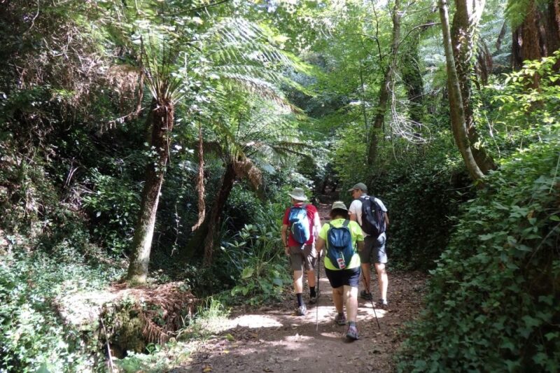An Adventure Through the Forest and Palace of Bussaco - Coim - Discovering Biodiversity and History