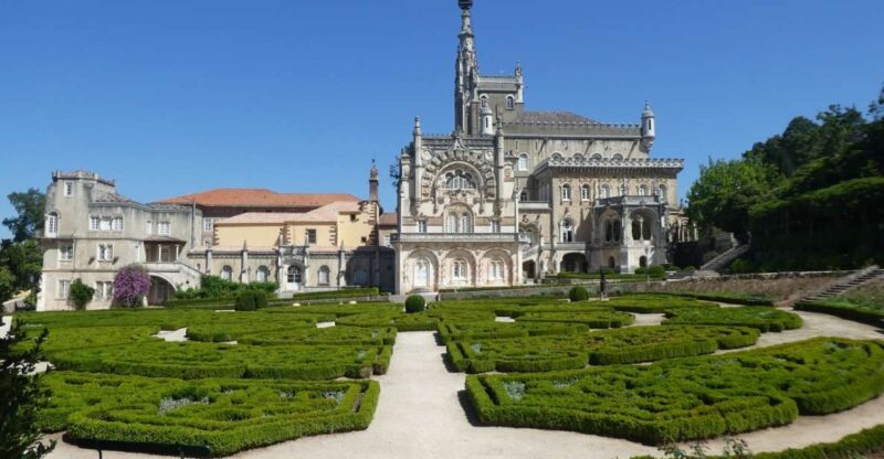An Adventure Through the Forest and Palace of Bussaco - Coim - Exploring Bussaco National Forest