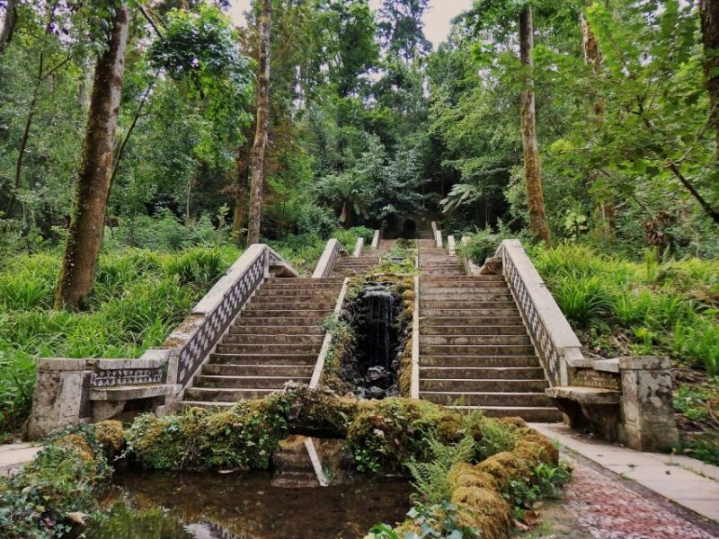 An Adventure Through the Forest and Palace of Bussaco - Coim - Guided Interpretive Experiences