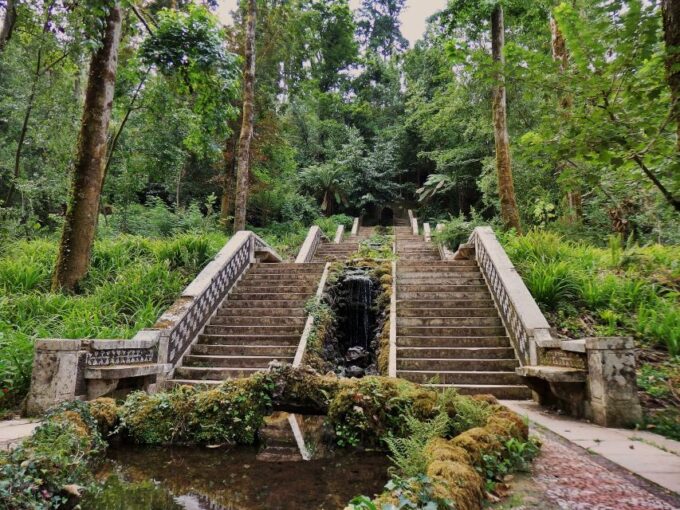 An Adventure Through the Forest and Palace of Bussaco - Coim - Transportation and Accessibility