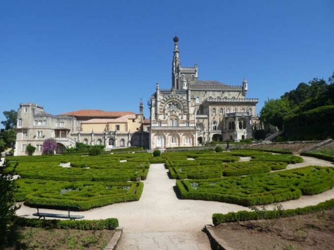 An Adventure Through the Forest and Palace of Bussaco - Coim - Weather Considerations and Cancellations