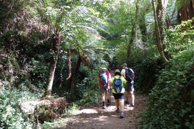 An Adventure Through the Forest and Palace of Bussaco - Coim - Frequently Asked Questions