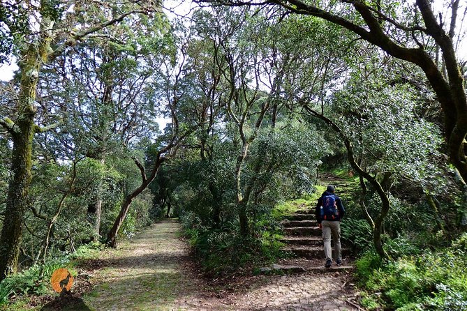 An Adventure Through the Forest and Palace of Bussaco - Coimbra - Transport and Inclusions