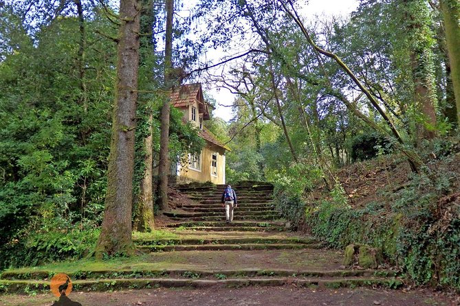 An Adventure Through the Forest and Palace of Bussaco - Coimbra - Physical Requirements and Accessibility