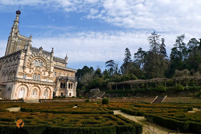 An Adventure Through the Forest and Palace of Bussaco - Coimbra - Positive Guest Experiences and Feedback